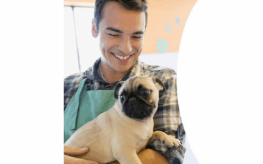 نادي الحيوانات